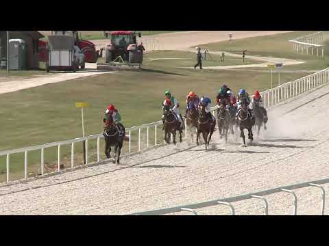 2020.09.27. 02. futam - NYERETLENEK VERSENYE (V.kat.) (szintetikus pálya)