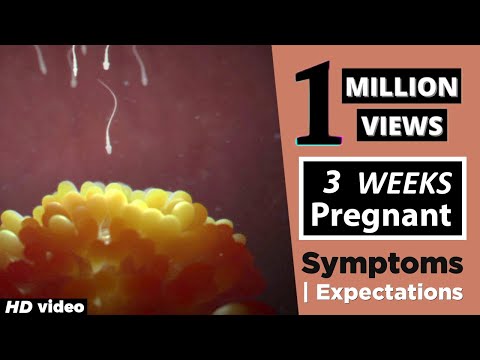 3 Weeks Pregnant belly cramps during pregnancy  - Precautions To Be Taken During Early Pregnancy