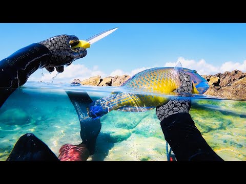 2 Days Solo Camping, Survival On A Weather Station Island, Catch & Cook - Part 2