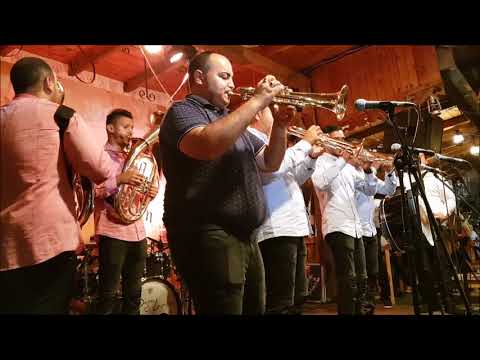 Orkestar Saše Krstića The Brocica Avilaja  Guca Trumpet Festival -  Dijahtal Arts Productions