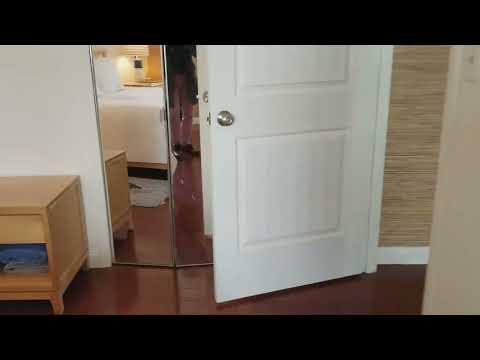 1933 Commonwealth Ave #507 - Brighton