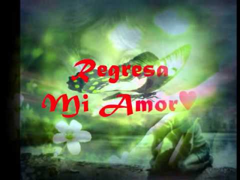 Te Sigo Esperando.Los Bukis