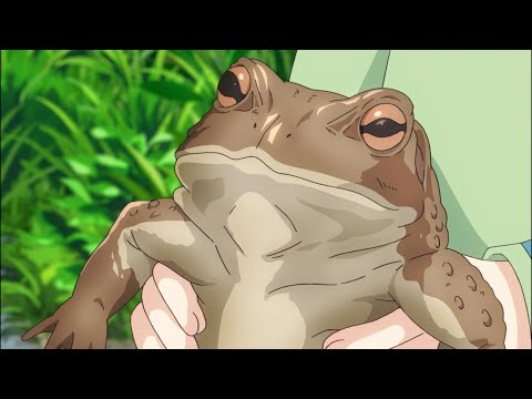 Fatty the Frog - Non Non Biyori Nonstop