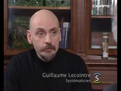 Image de prévisualisation YouTube