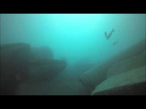 Naples, FL New artificial reef SCUBA, Lots of Life!