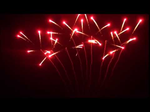 LS-009-01  9 Schuss Fächerelement; Rote Crossettes mit Grün-Blinker FT