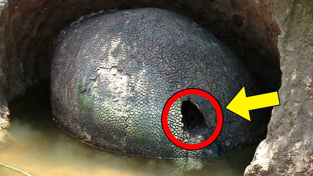 Excavator Busts Open Rock, Geologist Turns Pale After Seeing What's Inside