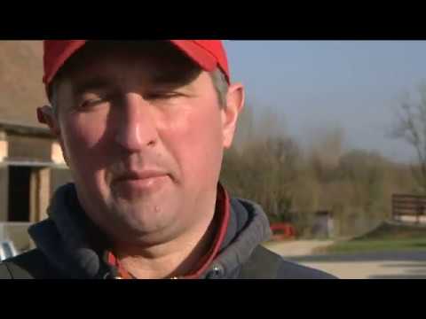 L'entraîneur de Bold Eagle : Sébastien Guarato