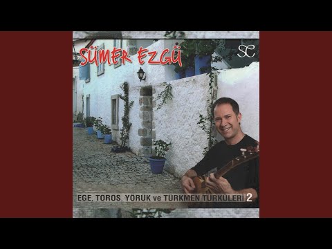 Video Yükleniyor...