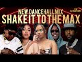 NEW DANCEHALL MIX 2025 SHAKE IT TO THE MAX MOLIY VYBZ KARTEL SHENSEEA SKILLIBENG POPCAAN