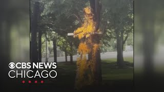 Man charged with burning cross in Grant Park to be released from custody