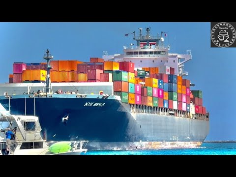 4K SHIPSPOTTING PORT OF LOS ANGELES CONTAINER SHIP AND OIL TANKERS - September 2024