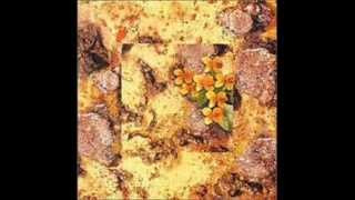 Willard Grant Conspiracy - "Drunkard's Prayer"