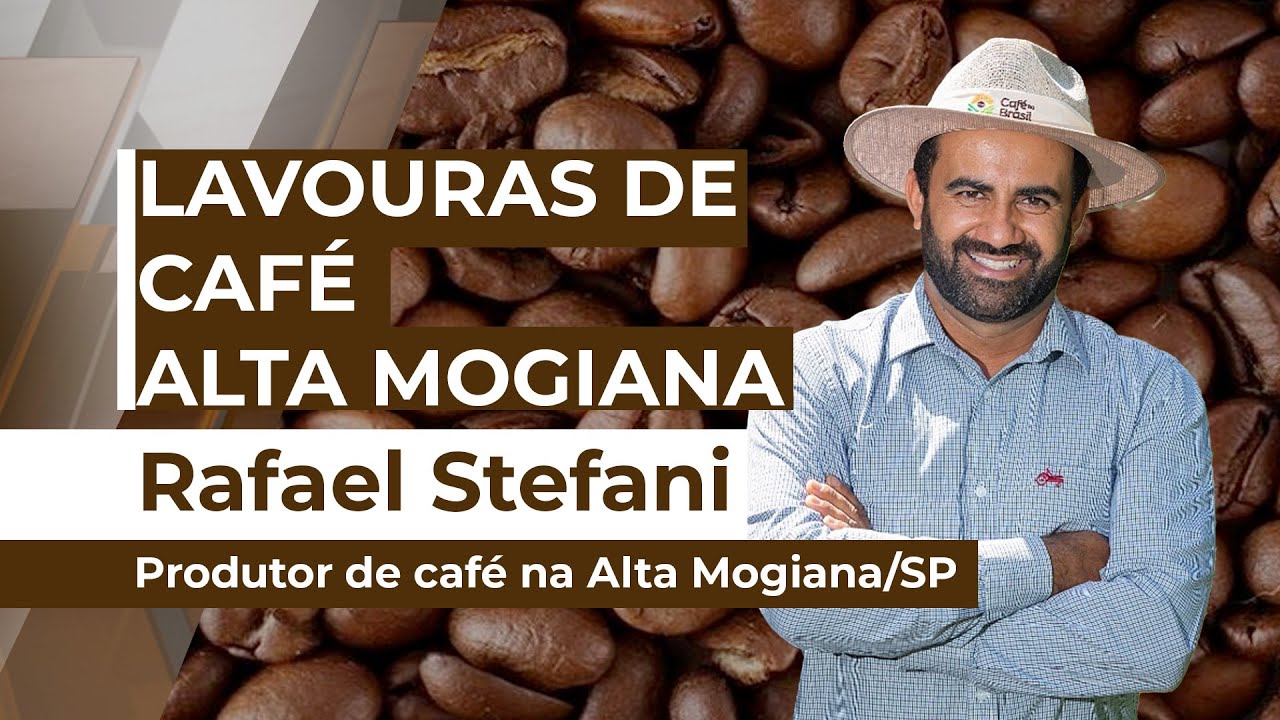 Tempo seco e bicho-mineiro prejudicaram o pegamento das floradas dos cafezais da Alta Mogiana