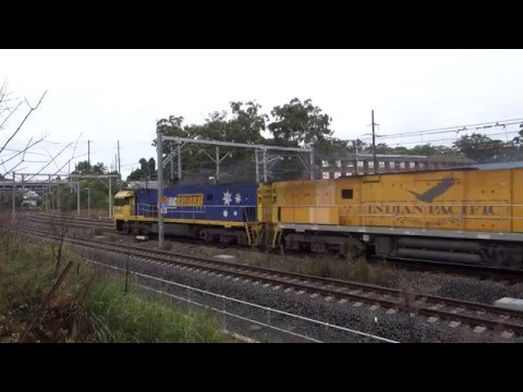 NR100 / NR18 (Indian Pacific) / G526 with 7BM4 - 1/5/16