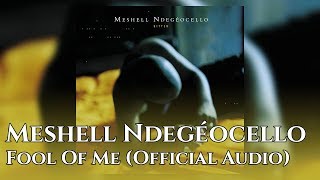 Meshell Ndegeocello - Fool Of Me (Official Audio)