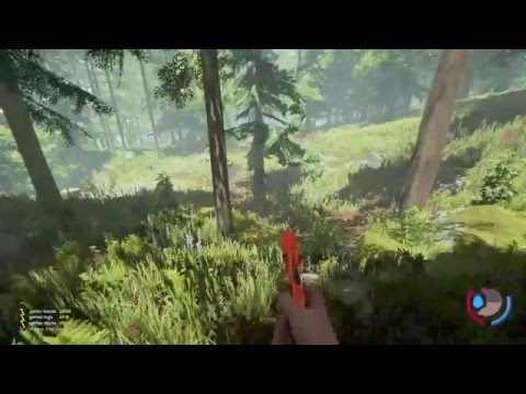 The Forest New Mutants Testing Weakness