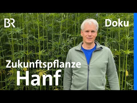 Multi-Talent Hanf: Hosen und Baustoffe vom Feld | Landwirtschaft | Doku | BR Story