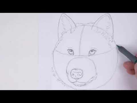 Dessiner une tête de loup