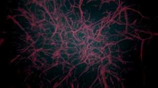 Dasha Rush - Outer Space /Sleepstep /Raster-noton/ Official Video