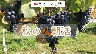 【海外生活】郊外おでかけ | 朝から飲酒