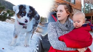 PUPPY SNOW REACTION!