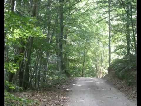 Attività ArtGroup 2008 Tre giorni a Bardineto 1