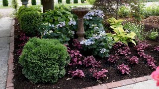 Adding Plants Around Tuff Stuff Ah-Ha Hydrangea