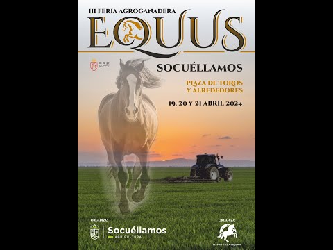 III Equus Socuéllamos, Concurso 2* Clasificatorio para SICAB Cto del Mundo