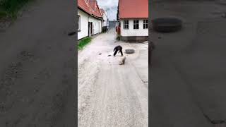 A mad dog attacked an old man but was beaten up by the old man. Xiaoluge&#39;s funny video. The dog