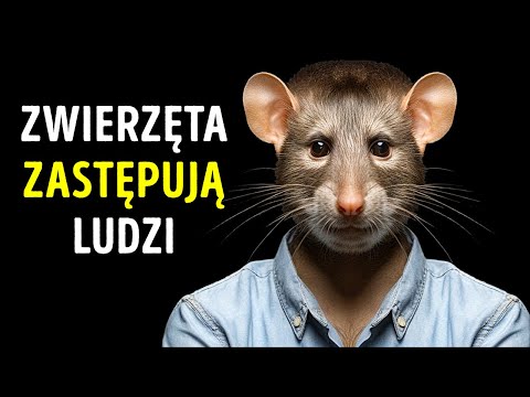 Te zwierzęta są bardziej inteligentne niż myślisz