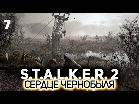 Топаем на болота ☢️ S.T.A.L.K.E.R. 2: Heart of Chornobyl [PC 2024] #7
