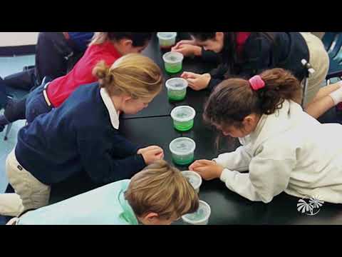 Million Orchid Project