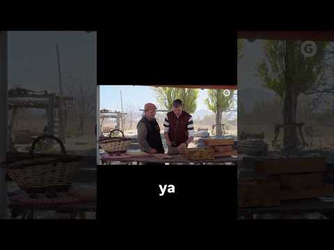 Nueces en 📍Famatina #larioja #ruta40