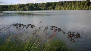 Малинники сергиево посадский район рыбалка зимой
