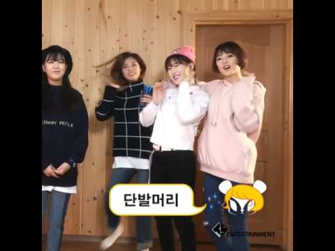 D.ana Euijin NewSun 단발머리 Short Hair Team 👩 배틀 소나무