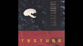 SKINNY PUPPY - Testure (12&quot; Mix)