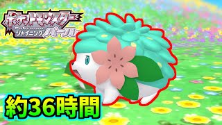 【ポケモンBDSP】約36時間かけて色違いシェイミを出すと人はこうなる【アーカイブ】#Shorts
