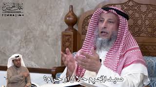 807 - صيد المُحرِم حلال أو حرام؟ - عثمان الخميس