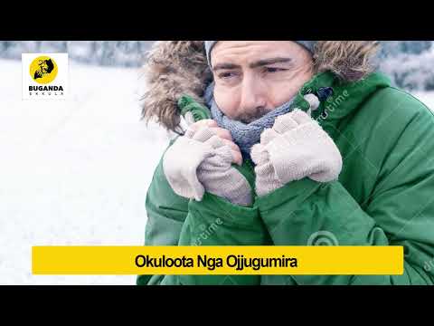 okulooota onga ojjugumira - Ebirooto Namakulu Gaabyo - Buganda Ekkula