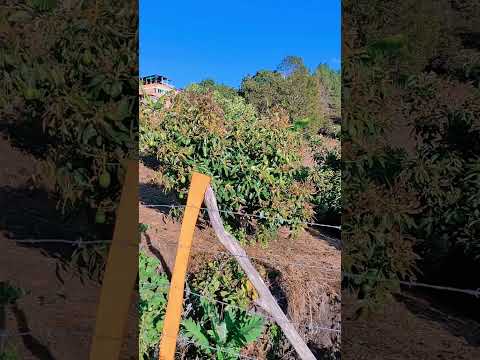 La Llanada Nariño #paisajes #nariño #pueblitos #naturaleza