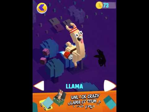 Llama Spit Spit Video