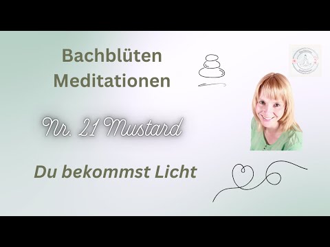 Bachblüte Nr. 21 "Mustard" - Die Blüte für Licht