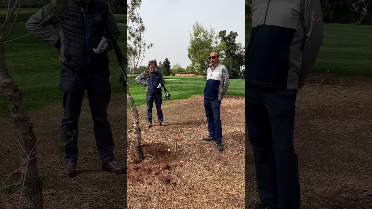 Reglas 3 árboles con tutores y/o vientos