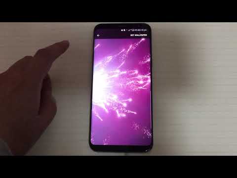 Shining Particles Wallpaper Video