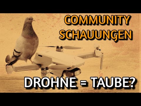 Are Irlmaier's "pigeons" modern drones? A community vision in comparison.
