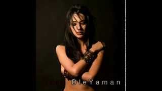 Zara feat Djivan Gasparyan - Dle Yaman