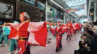 踊り人 叶和　よさこい祭り2026 全国大会　8/12