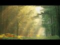 Carry On Olivia Holt Slowed Pitched