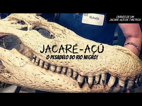 JACARÉ-AÇU - O PESADELO DO RIO NEGRO!